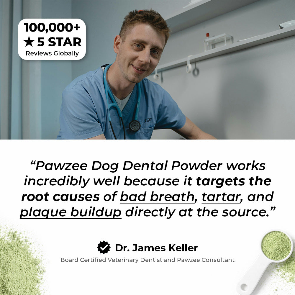 Pawzee™ Dog Dental Powder [Free Today]